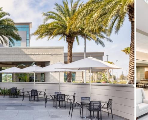 Modern commercial building exterior with outdoor patio and tropical landscaping for site development.