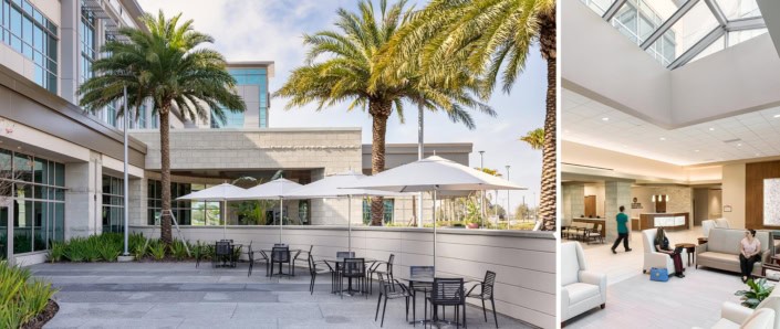 Modern commercial building exterior with outdoor patio and tropical landscaping for site development.