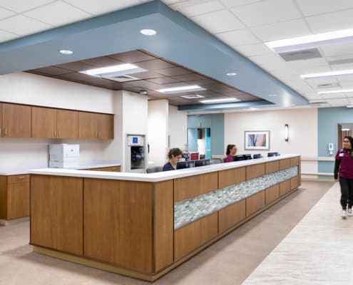 Modern hospital reception area with wood cabinetry and healthcare staff, emphasizing patient service and facility design.