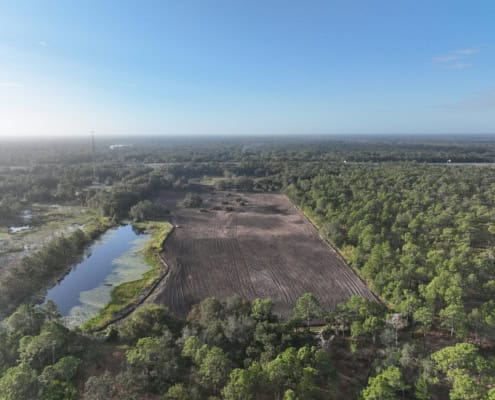 Lush green landscape with a pond, cleared land, and surrounding forest, showcasing site development for construction or land improvement projects.