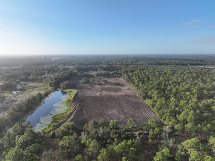 Lush green landscape with a pond, cleared land, and surrounding forest, showcasing site development for construction or land improvement projects.