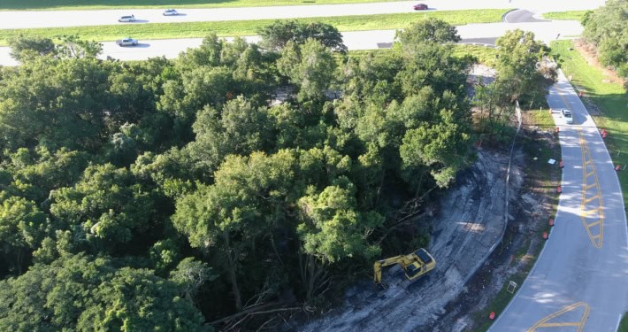 Dense wooded area being cleared for site development with heavy machinery on a construction site.